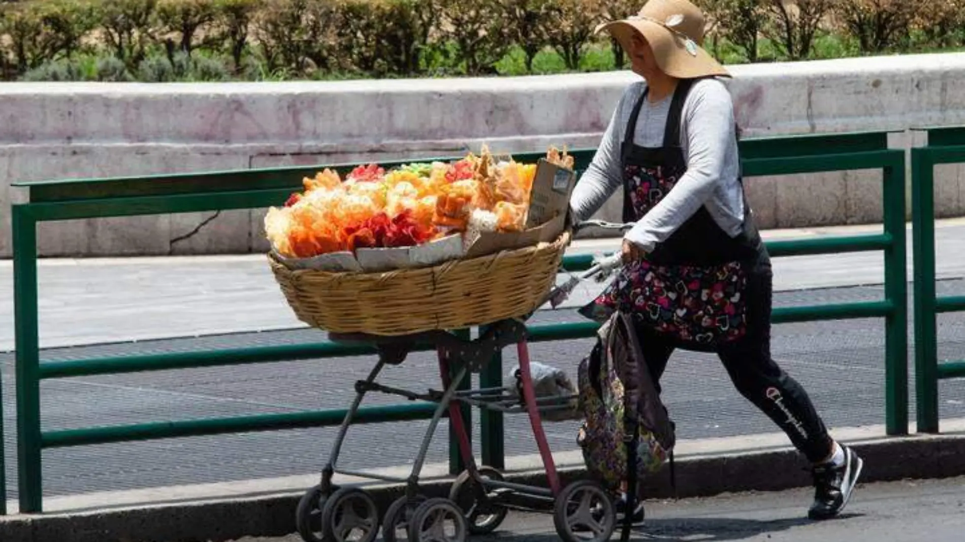 vendedora ambulante comida chatarra